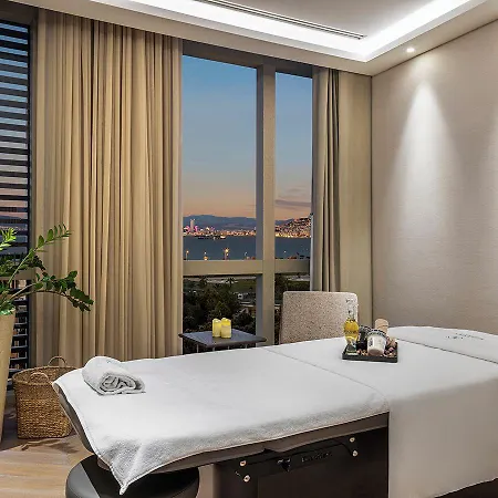 Hyatt Regency Istinyepark ホテル